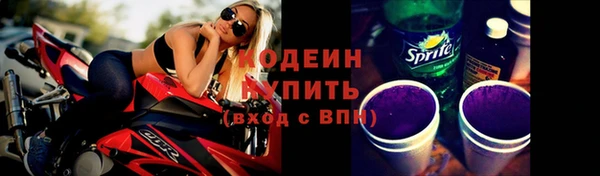 СК Снежногорск
