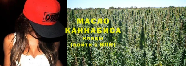 СК Снежногорск