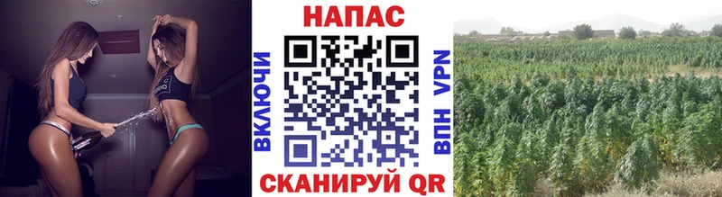 Каннабис ГИДРОПОН Белозерск